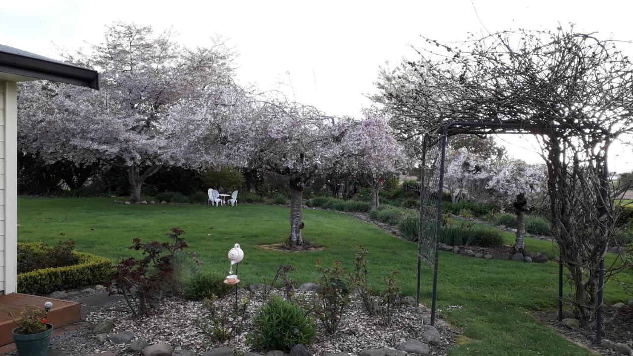 Kaimai Sunset Bed & Breakfast Matamata Extérieur photo